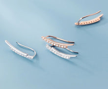 Load image into Gallery viewer, Firenze zircon stud earrings
